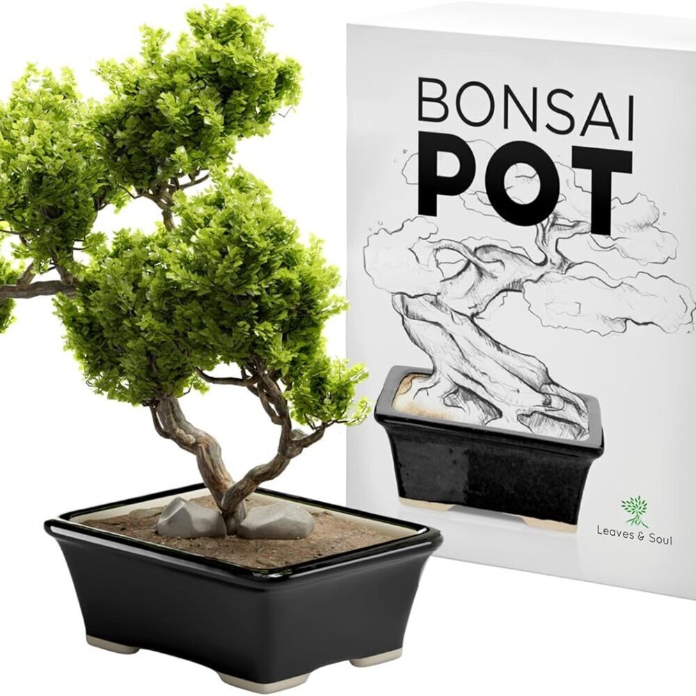 Glazed Ceramic Bonsai Pot - Ceramic Planter for Succulents and Small Plants - Bl
